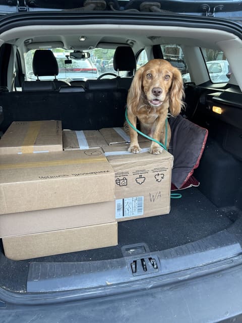 Sam Merullo on the campaign trail